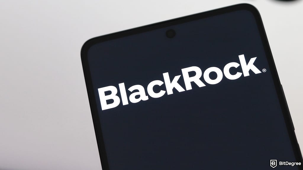 „BlackRock“ generalinis direktorius „Bitcoin“ pavadino „baimės turtu“